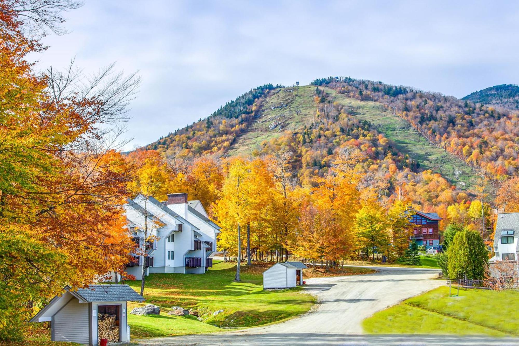 Sunrise Village Killington Room photo